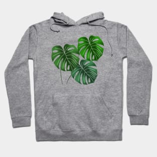 Monstera leaves Hoodie